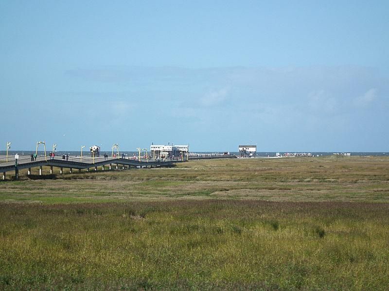 18588342-Ferienwohnung-2-St. Peter-Ording-800x600-1