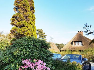 Blick vom Garten auf Stellpätze am Haus