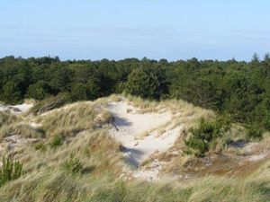 18773821-Ferienwohnung-2-St. Peter-Ording-300x225-4