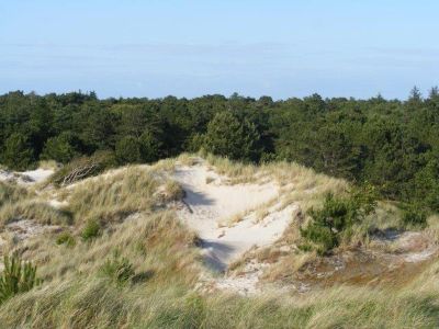 Genießen Sie Landschaft und Natur in SPO