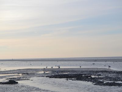 Genießen Sie Landschaft und Natur in SPO