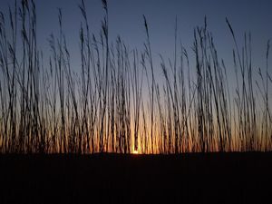 18924350-Ferienwohnung-2-St. Peter-Ording-300x225-4