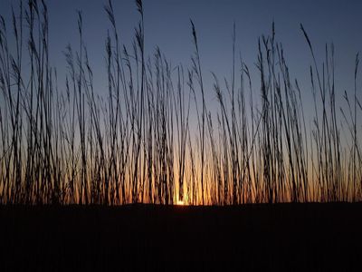 Auf dem Deich bei Sonnenuntergang