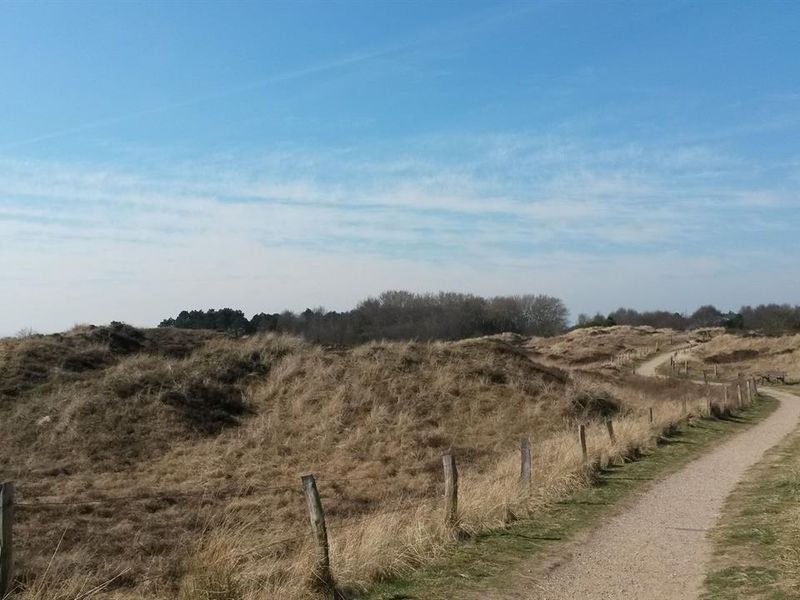 19209123-Ferienwohnung-4-St. Peter-Ording-800x600-1