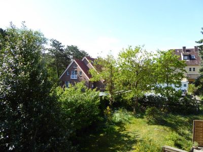 Blick vom Balkon ins Grüne