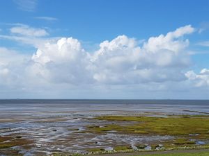 19309964-Ferienwohnung-4-St. Peter-Ording-300x225-4