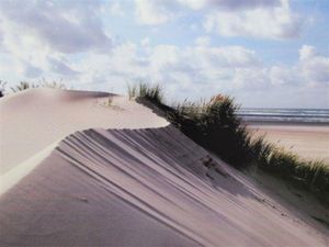 18778284-Ferienwohnung-4-St. Peter-Ording-300x225-3