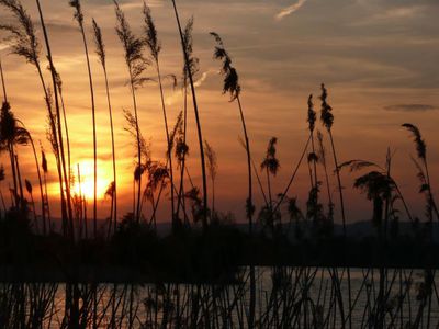 Urlaub auf der Halbinsel Eiderstedt