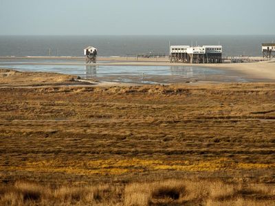 Salwiesen am Nordseestrand