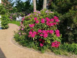 19356433-Ferienwohnung-3-St. Peter-Ording-300x225-3