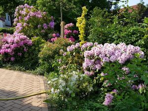 19356431-Ferienwohnung-5-St. Peter-Ording-300x225-4