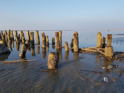 Wattenmeer