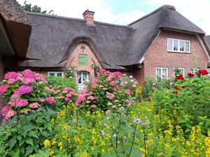 22356613-Ferienwohnung-2-St. Peter-Ording-300x225-4