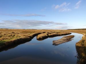 21990471-Ferienwohnung-4-St. Peter-Ording-300x225-4