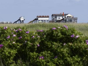 22963139-Ferienwohnung-2-St. Peter-Ording-300x225-2