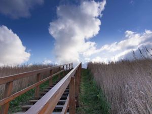 23125245-Ferienwohnung-4-St. Peter-Ording-300x225-2