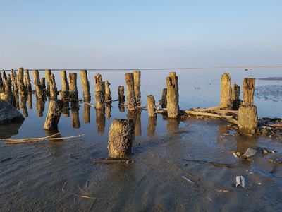 Wattenmeer entdecken