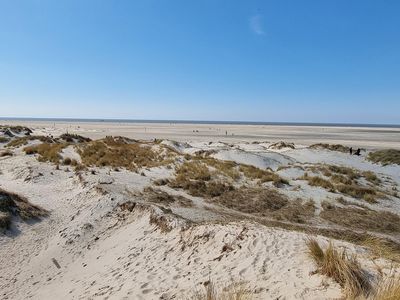 Dünen und Meer