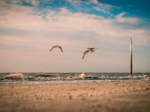 23283451-Ferienwohnung-2-St. Peter-Ording-300x225-5