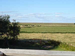 18620676-Ferienwohnung-3-St. Peter-Ording-300x225-4