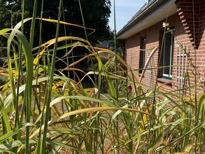 18588384-Ferienwohnung-6-St. Peter-Ording-300x225-3