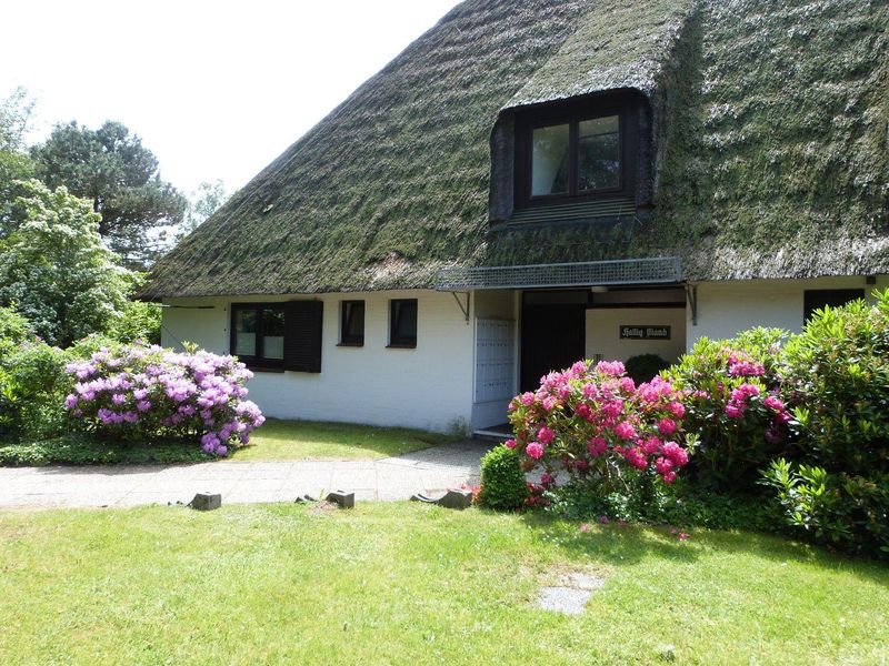 23559794-Ferienwohnung-3-St. Peter-Ording-800x600-0