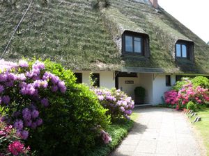 23559794-Ferienwohnung-3-St. Peter-Ording-300x225-1