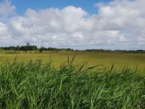 21596351-Ferienwohnung-6-St. Peter-Ording-300x225-4