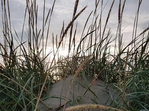 23499011-Ferienwohnung-2-St. Peter-Ording-300x225-5