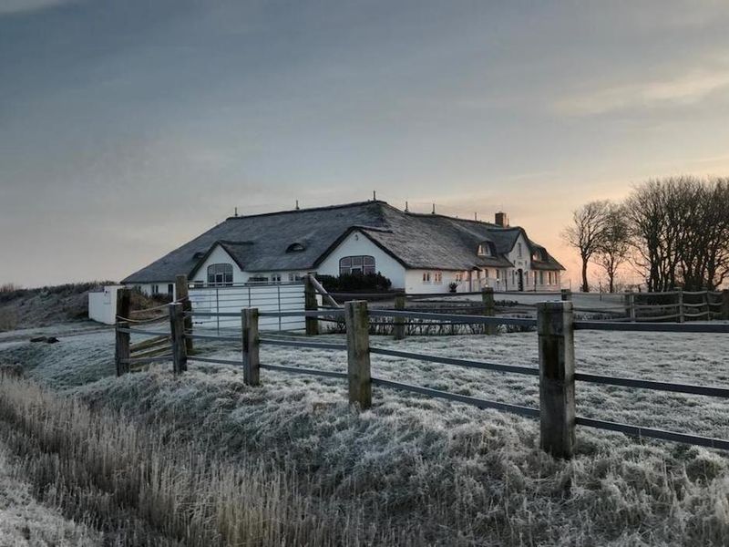 23659661-Ferienwohnung-4-St. Peter-Ording-800x600-1