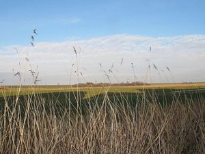 23683728-Ferienwohnung-2-St. Peter-Ording-300x225-2