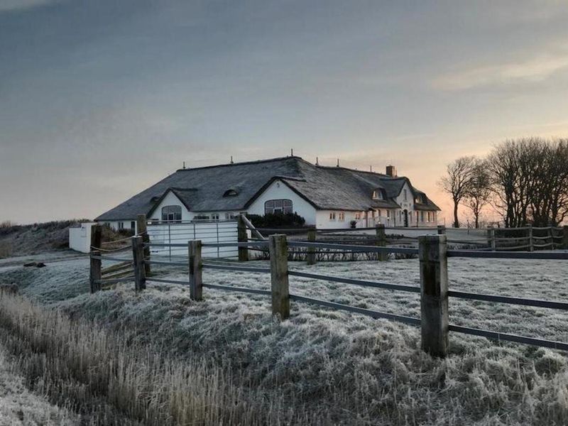 23783487-Ferienwohnung-3-St. Peter-Ording-800x600-2