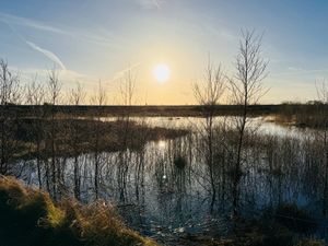 23953713-Ferienwohnung-2-St. Peter-Ording-300x225-4