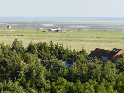 Ferienwohnung für 3 Personen (47 m²) in St. Peter-Ording 9/10