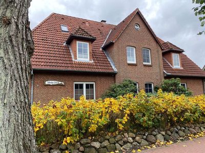 Ferienwohnung für 2 Personen (36 m²) in St. Peter-Ording 10/10