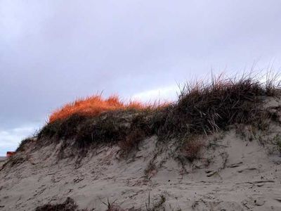 Ferienwohnung für 4 Personen (41 m²) in St. Peter-Ording 8/10