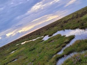 23920395-Ferienwohnung-4-St. Peter-Ording-300x225-3