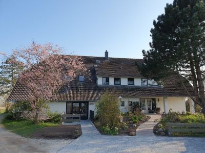 Ferienwohnung für 3 Personen (35 m²) in St. Peter-Ording 6/10