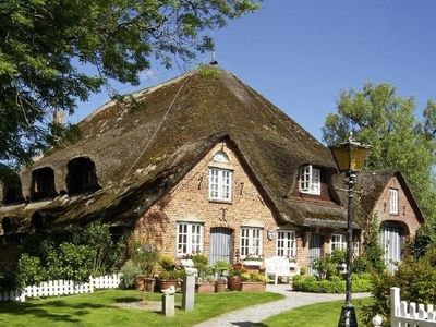 Ferienwohnung für 4 Personen (52 m²) in St. Peter-Ording 1/10