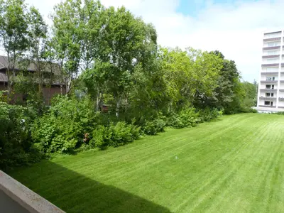 Ferienwohnung für 2 Personen (25 m²) in St. Peter-Ording 8/10