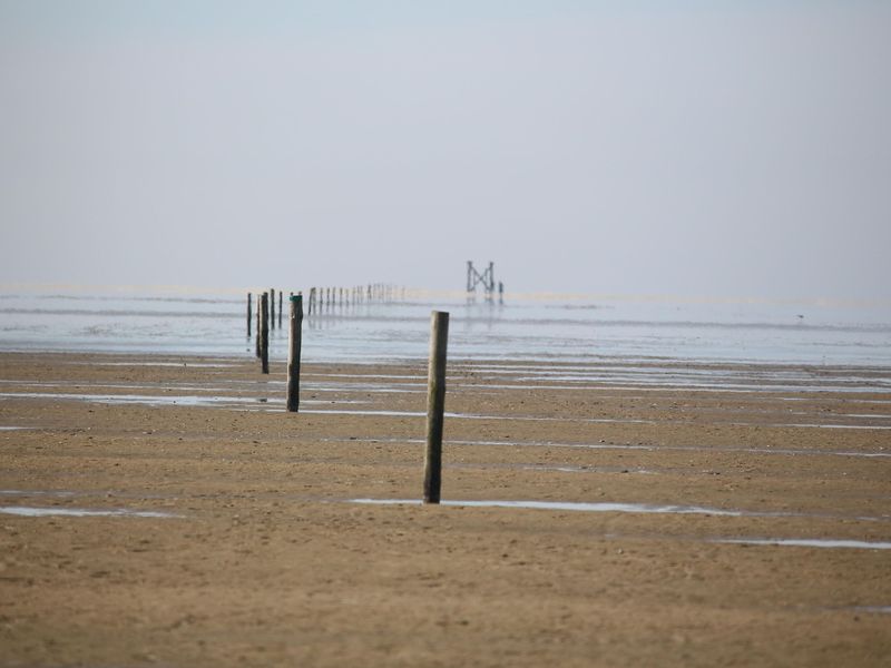 23988748-Ferienwohnung-4-St. Peter-Ording-800x600-1