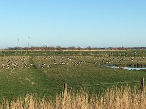 19386692-Ferienwohnung-2-St. Peter-Ording-300x225-3