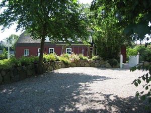 19386688-Ferienwohnung-4-St. Peter-Ording-300x225-4