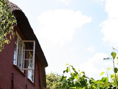 Ferienwohnung für 4 Personen (50 m²) in St. Peter-Ording 2/10