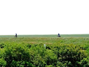 19381353-Ferienwohnung-3-St. Peter-Ording-300x225-2