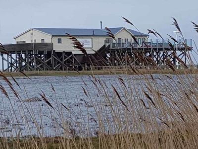 Ferienwohnung für 2 Personen (20 m²) in St. Peter-Ording 10/10