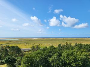 23872922-Ferienwohnung-4-St. Peter-Ording-300x225-4