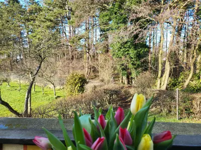 Ferienwohnung für 4 Personen (80 m²) in St. Peter-Ording 10/10