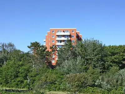 AreaSummer1KM