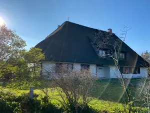 Ferienwohnung für 4 Personen (60 m²) in St. Peter-Ording